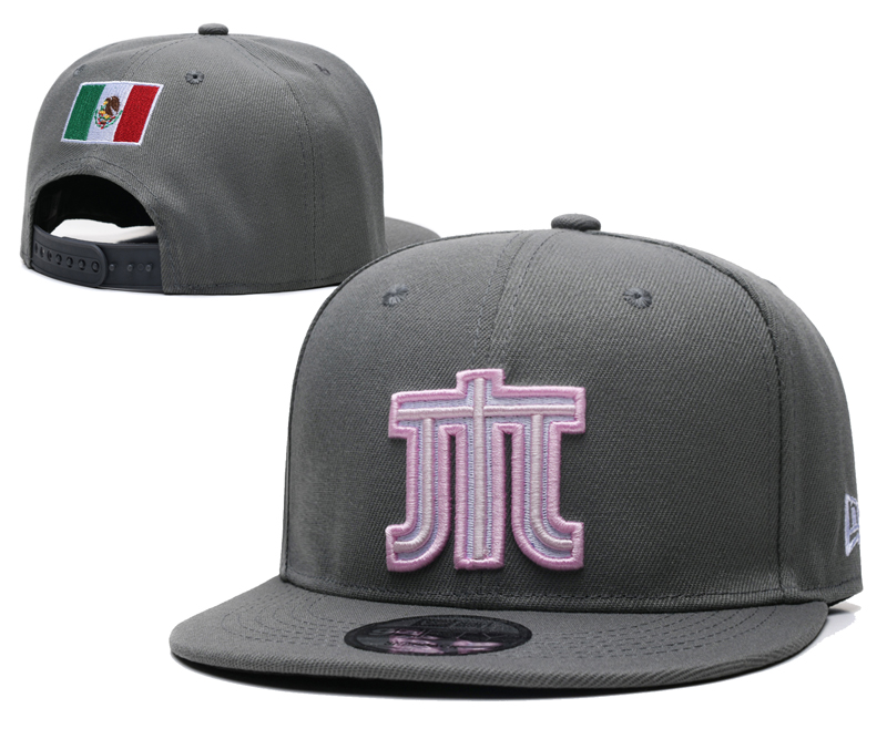 NFL 2025San Francisco 49ers hat 087YS